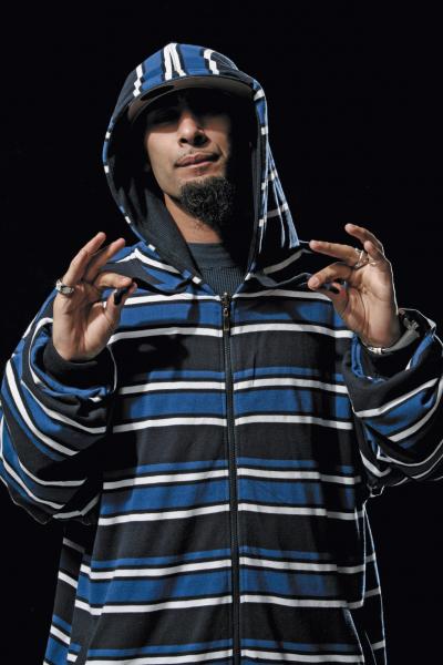 la fouine